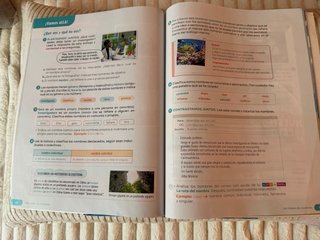 Lengua Castellana y Literatura Trimestres 4º EP