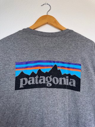 Camiseta Patagonia Manga Larga Gris Talla M