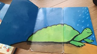 Pack de cuentos. Algunos pop-up.