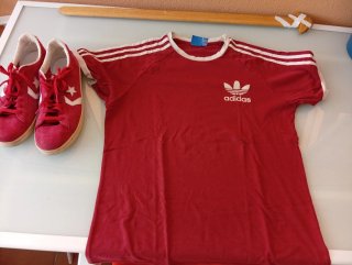 Camiseta Adidas L + Zapatillas Converse 44