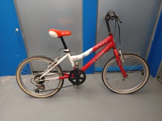 Bici Infantil JL-Wenti 20 pulgadas con cambios