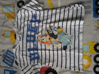 Lote 10 camisetas manga corta 110/116