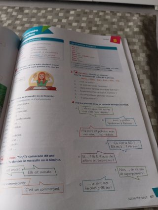Dos Libros de Francés