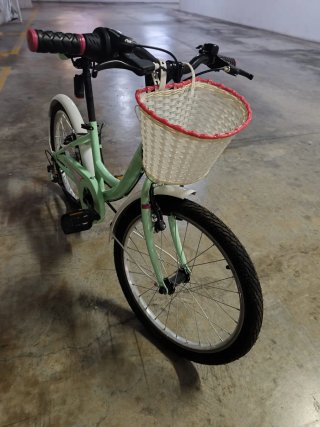 Bicicleta infantil verde con cesta