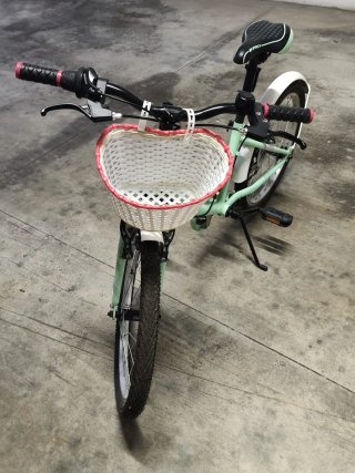 Bicicleta infantil verde con cesta