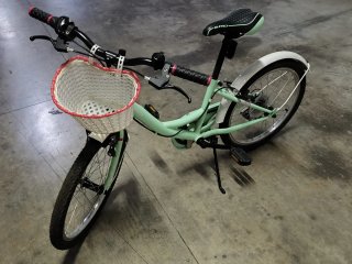 Bicicleta infantil verde con cesta
