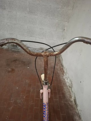 Bicicletta Graziella Rosa