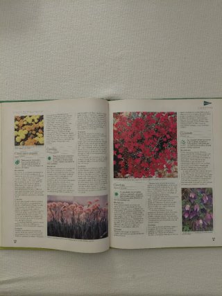 El Libro de Oro de las Plantas y los Jardinenería