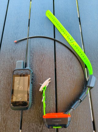 Garmin Alpha 200i y Collar TT25