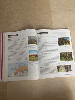 Projecte: FanFest - Geografia i Història 1 ESO
