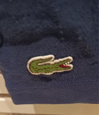 Camiseta Lacoste Azul con Cocodrilo