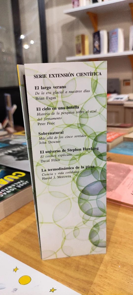 Magos, gurús y sabios - Henry Broch