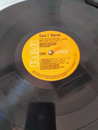 FAD GADGET - Under the Flag Vinilo