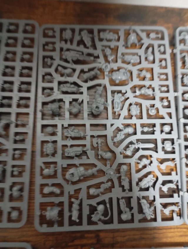 Ligas of  Wotann