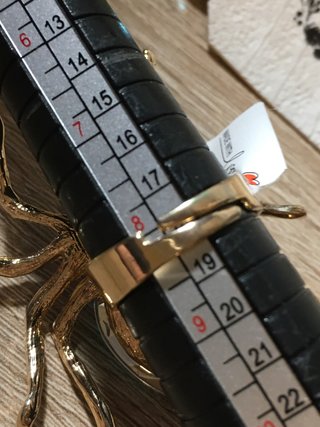 Conjunto Lujo Turquesa: Anillo  Araña y Pendientes