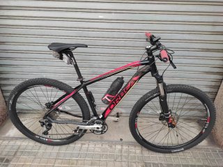 Orbea MX 29