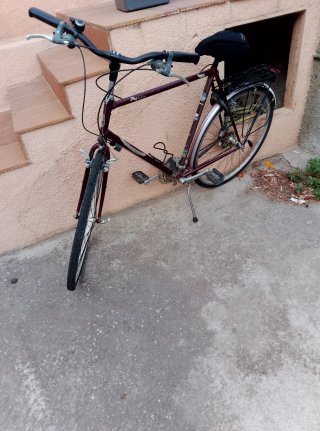Bicicleta Gazelle Vino