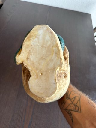 Decorazione Teschi con Serpente