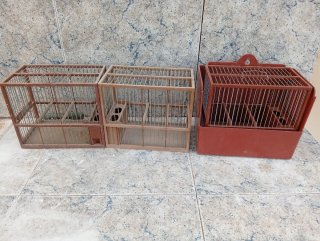 Jaulas de canto para jilguero