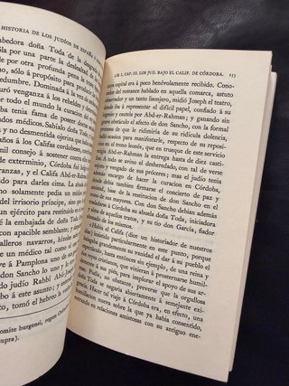 Historia de los judíos de España y Portugal