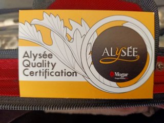 Flauta Travesera ALYSÉE con estuche