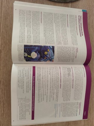 Religión Católica, 4 ESO, Nuevo encuentro