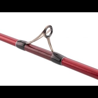 Pareja de cañas Daiwa Tournament Caster Evo