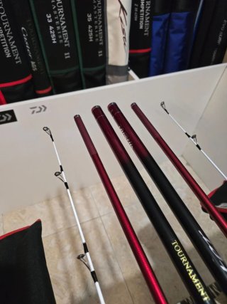Pareja de cañas Daiwa Tournament Caster Evo