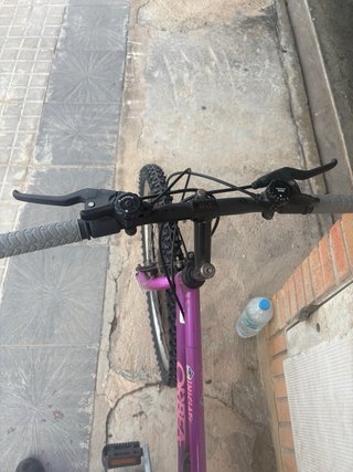 Bicicleta Orbea Morada