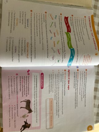LLENGUA CATALANA 3 PRIMARIA CONSTRUINT MONS