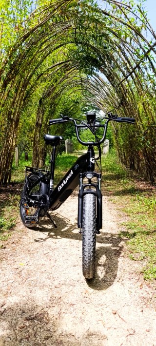 Bicicleta Eléctrica Bodywel Fat Bike