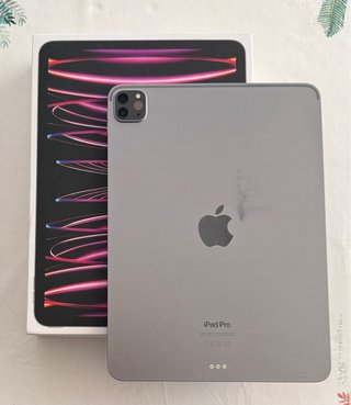iPad Pro 11 M2 128GB Plata