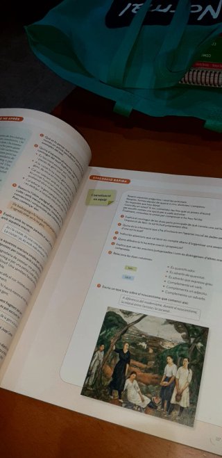 Llengua Catalana i Literatura, 4 ESO, Projecte ...