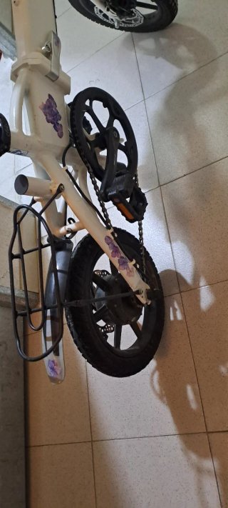 Bicicleta Eléctrica Adulto