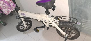 Bicicleta Eléctrica Adulto