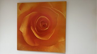 Cuadro Decorativo Flor Naranja