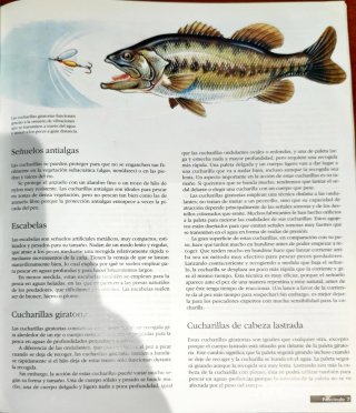 EL GRAN LIBRO DE LA PESCA