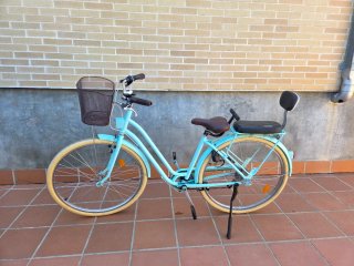 Bicicleta da passeggio verde azzurro con cestino e sellino