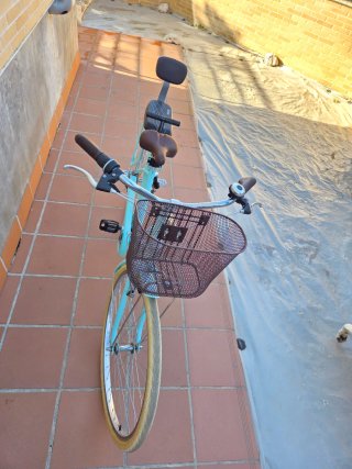 Bicicleta da passeggio verde azzurro con cestino e sellino