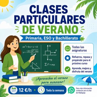 Clases particulares de verano online
