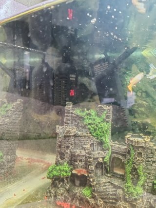 Acuario 60L con filtro y calentador