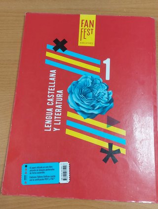 Lengua castellana y literatura 1 Secundaria