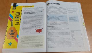 Lengua castellana y literatura 1 Secundaria