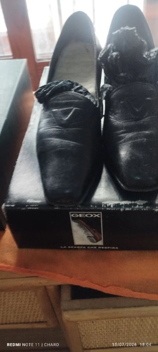 Lote Zapatos Pierre Cardin Talla 37