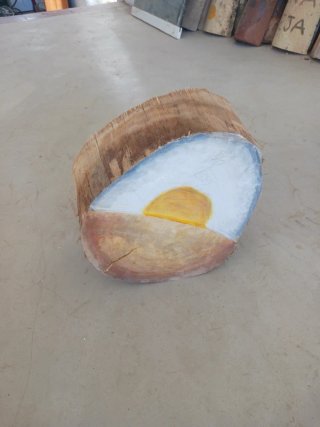 Uovo su tronco