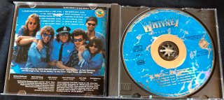 Steve Whitney Band