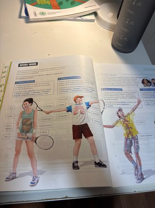 Proyecto: FanFest. Ciencias de la Naturaleza 5 ...