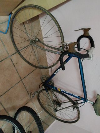 Bicicleta Vintage Settaglin