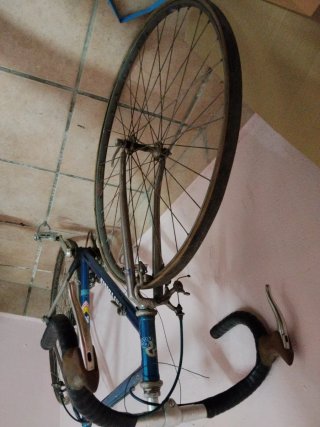Bicicleta Vintage Settaglin