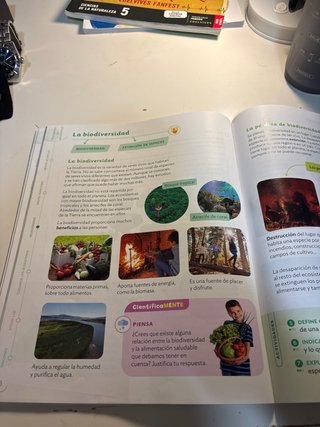 Ciencias de la Naturaleza, 4 Primaria, Proyecto...